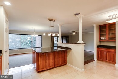 3 Southerly Ct unit 502, Towson, MD 21286 - photo 7