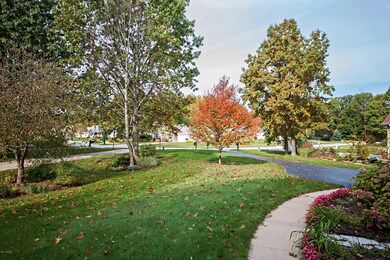 DSC04972_pe