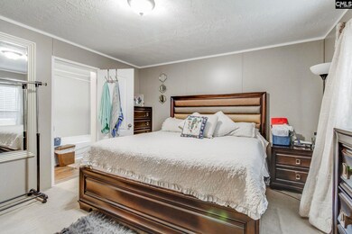 10160 Hornsboro Rd, Mount Croghan, SC 29727 - photo 5