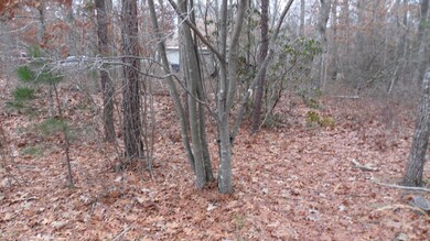 12 Angela Dr, Little Egg Harbor Township, NJ 08087 - photo 4