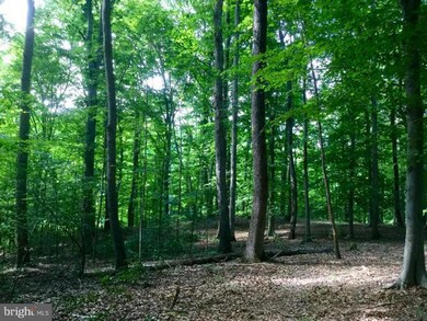 0 Canterbury Loop unit VAKG2007002, King George, VA 22485 - photo 4