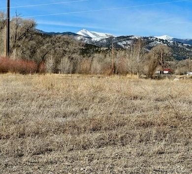 810 Hoover Cir unit 27, Poncha Springs, CO 81242 - photo 4