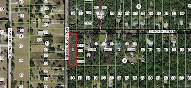 1012 & 1030 E Mckinley St, Hernando, FL 34442 - photo 4