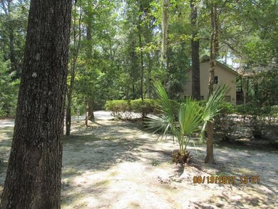 eagle island grass 014