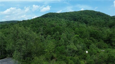 TBD N Carolina Highway 16, Moravian Falls, NC 28654 - photo 2