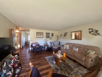 309 S Grape St, Morrison, IL 61270 - photo 5