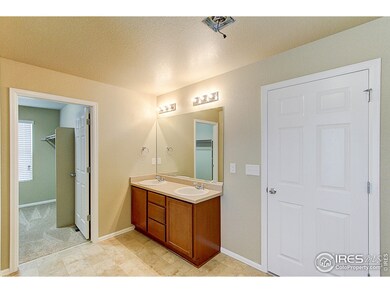 6765 Coach Light Ct, Timnath, CO 80547 - photo 6
