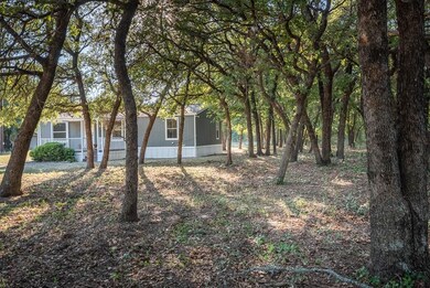 116 Adalida Ln, Springtown, TX 76082 - photo 3