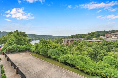 150 Sunken Forest Dr unit 10-251, Forsyth, MO 65653 - photo 4