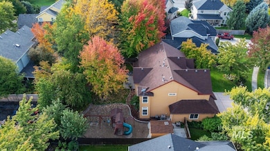 Aerial view of a tree filled landscape