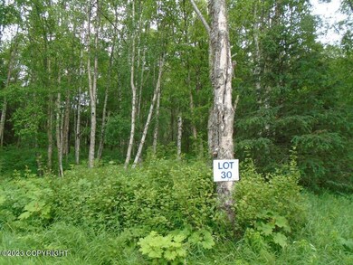 Lot 30