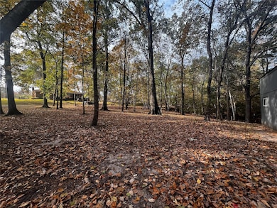 11 Clearwater Cir, Cape Royale, TX 77331 - photo 5