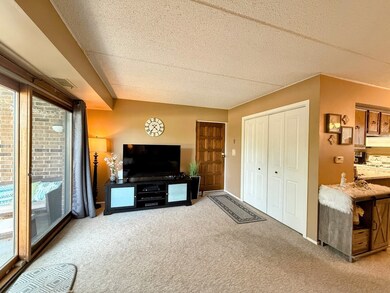 271 W 1st St unit 1B, Elmhurst, IL 60126 - photo 6