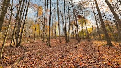 308 Bliss Rd, Union Township, OH 45613 - photo 6