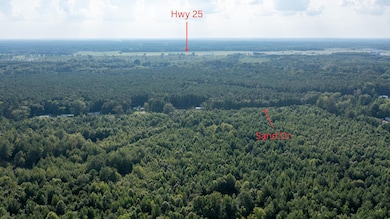 33.6 acres E Side Sand Rd, Starkville, MS 39759 - photo 6