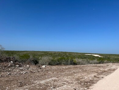 44 Ranch North Tract 21, Rosita, TX 78384 - photo 4