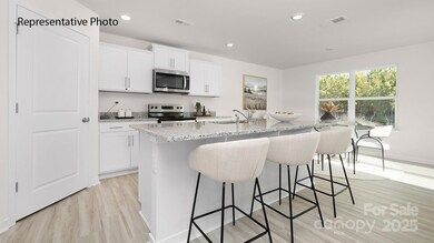 1036 Horizon Ln, Chester, SC 29706 - photo 3