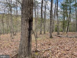 0 Hungaria Rd unit WVMO118352, Berkeley Springs, WV 25411 - photo 7