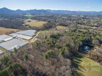 99999 Sunnyview Terrace unit C, Asheville, NC 28804 - photo 4