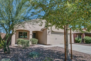 Saddlebrook-002