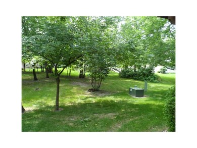 View. View of the greenspace with mature trees and