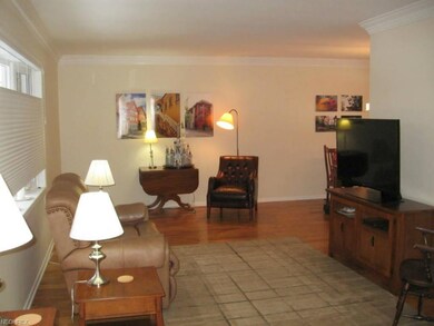 Bright Spacious Living Room with Hard Wood Floors