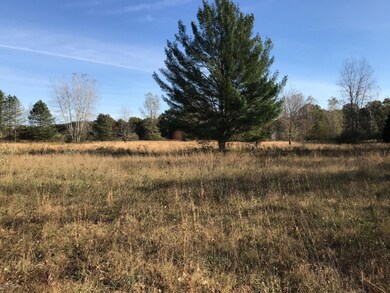 3035 4th St, Wayland, MI 49348 - photo 7