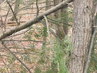 Lot 288 King Hill Rd, Lake Arrowhead, ME 04048 - photo 4