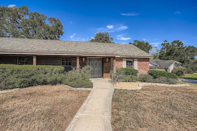 902 Retriever Ave, Seffner, FL 33584 - photo 3