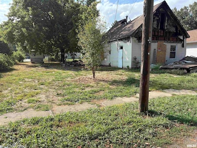 405 S Snider St, Christopher, IL 62822 - photo 3