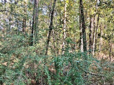 131 Bluebird Ln, Adel, GA 31620 - photo 6