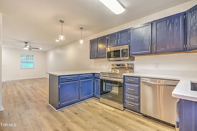 2971 Broad St unit 163, Bristol, TN 37620 - photo 5