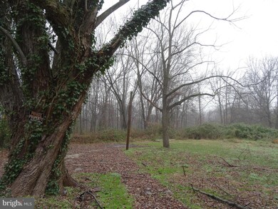 7348 Green Acres Dr, Glen Burnie, MD 21060 - photo 5