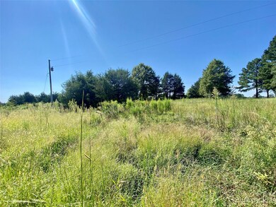 13 AC Deitz Rd, Statesville, NC 28625 - photo 4