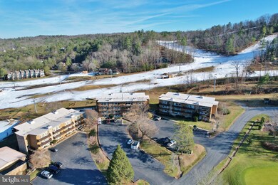 1814 Fairway Dr unit 338, Basye, VA 22810 - photo 2