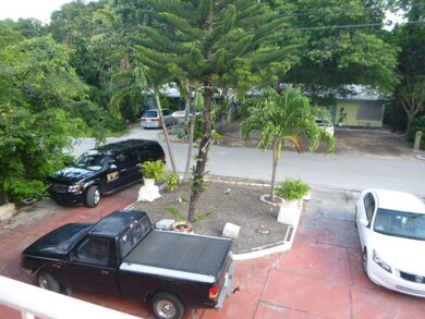 Circular Driveway
