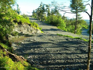 103 Cabin Ridge Rd, Cordova, AK 99574 - photo 6