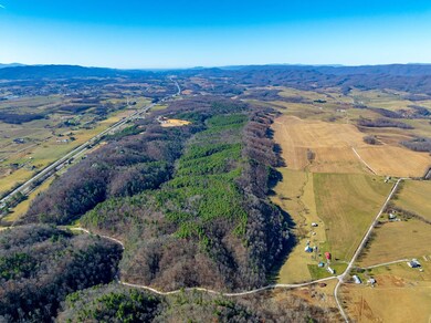 TBD Gap of Ridge Rd, Rural Retreat, VA 24368 - photo 4