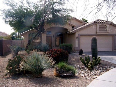 Landscaped Front Yard