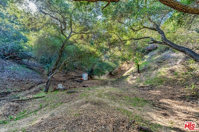 0 Comida Way unit 25616439, Topanga, CA 90290 - photo 4