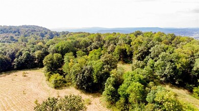 0 Bray Rd, Elkins, AR 72727 - photo 4