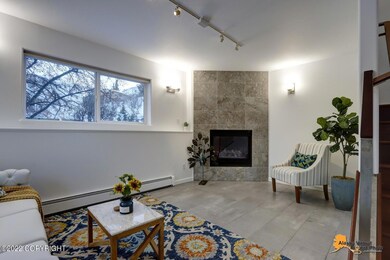 First Floor Den /fireplace