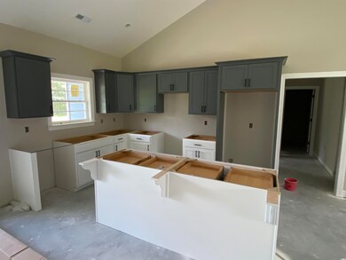 950 Knotty Branch Rd, Conway, SC 29527 - photo 2