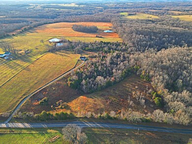 DJI_0382_e