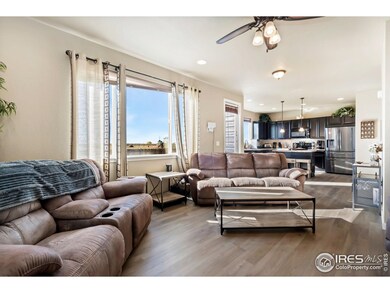 1087 Johnson St, Wiggins, CO 80654 - photo 6