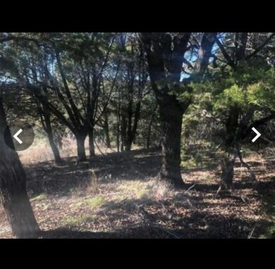 1273 Paint Brush Ct, Whitney, TX 76692 - photo 2