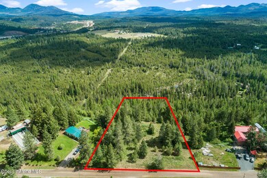 NKA E Forest View Dr, Athol, ID 83801 - photo 3