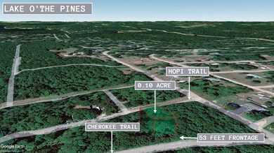 Cherokee Trail, Jefferson, TX 75657 - photo 4