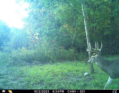 0 37th St, Gobles, MI 49055 - photo 4