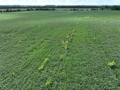 00 Racine Ave, Quasqueton, IA 52326 - photo 6